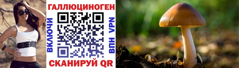 закладка Кологрив hydra рабочий сайт Галлюциногенные грибы мухоморы